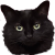 :void_cat: